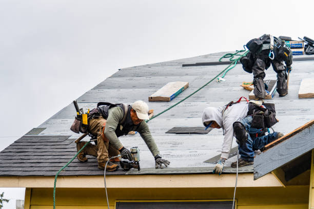 Professional Emergency Roof Repair technician working in Macy, IN